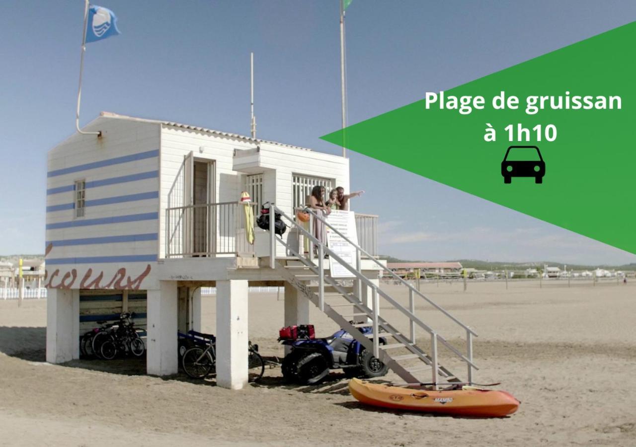 Le Cathare-Limoux-Wifi-Parking Free-Oc-Keysアパートメント エクステリア 写真