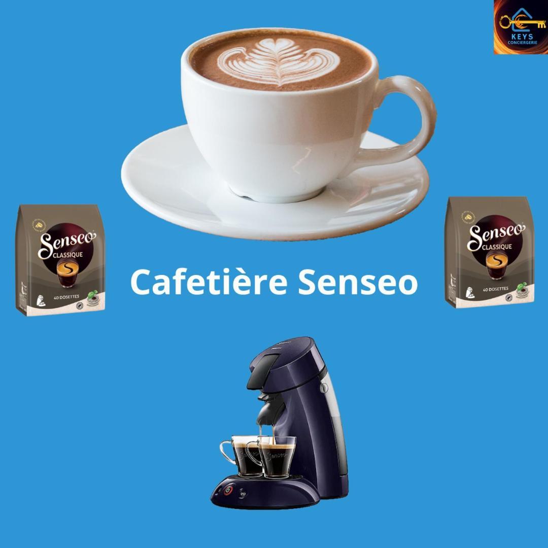 Le Cathare-Limoux-Wifi-Parking Free-Oc-Keysアパートメント エクステリア 写真